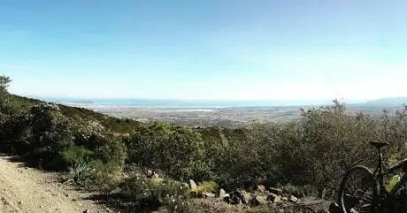 Foresta demaniale del Campidano