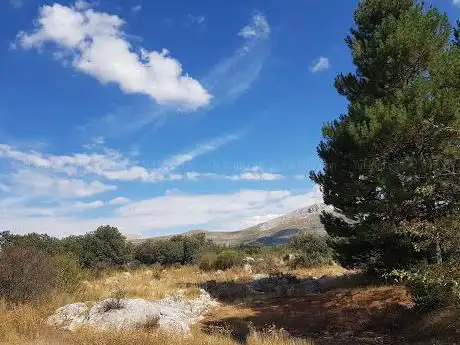 Photo de Mimbres Sur