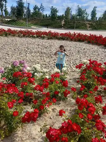 Photo de Bosque de los Sentidos