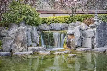 Japanse Tuin - Shin Kai Tei