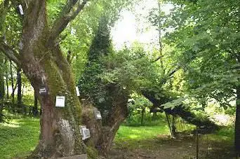 Les Jardins de la Belleuse