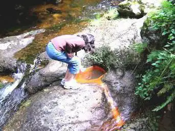 Photo de Source ferrugineuse de la Fontfort