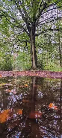 Grenspark Kalmthoutse Heide