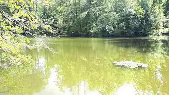 Photo de Forest Park Castle Menucourt