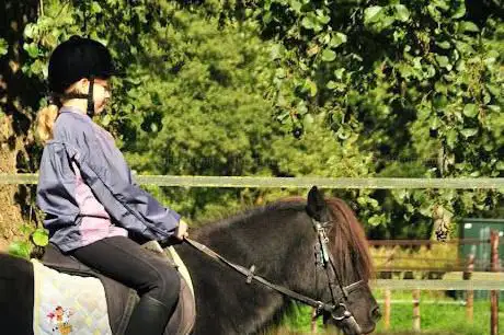 Photo de Ponyrijden Patricia de Drie Elzen