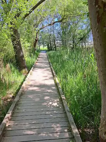 Photo de Estanyol de la Cendra