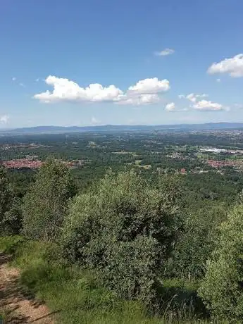 Photo de Panca gigante
