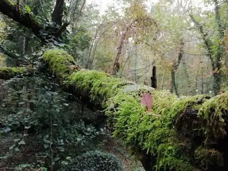 Photo de Parco naturale sull'Isonzo di Campagnuzza - Sant'Andrea