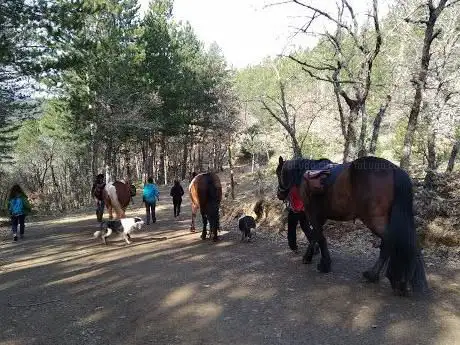 Photo de Asociación Caballos en Libertad Valle de Juarros