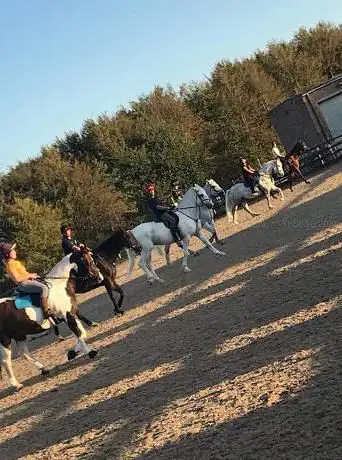 Royal Artillery Saddle Club Larkhill