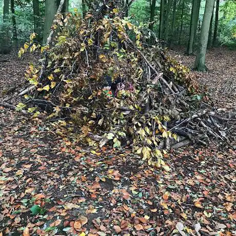 Speelzone Mortagne bos