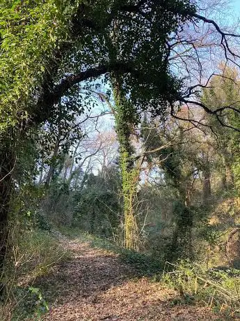 Photo de Sentiero Vallone della Profica Paliata