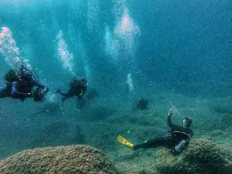 Photo de buceo hammersea
