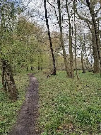 Photo de Stocking Springs Wood