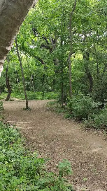 Photo de Cortésine Woods