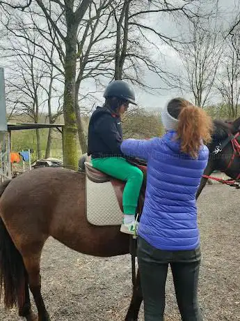 Photo de Aurore Meriot Equitation