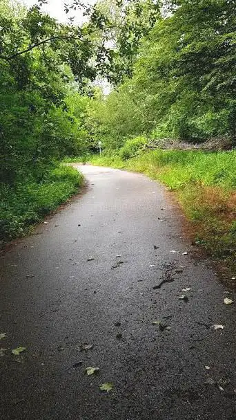 Westlicher Schinderwasenweg