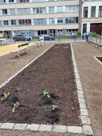 Samentuin Den Bleekselder