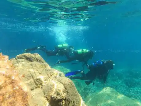 Photo de Enfola Diving Center