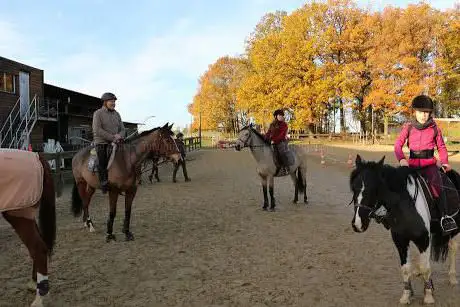 Ecurie - Poney Club Le Cheyenne