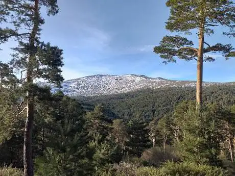 Photo de Alto Llano