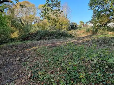 North End Nature Park