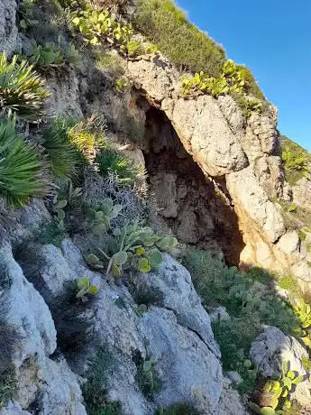 Photo de Sentiero per la Terrazza sul mare