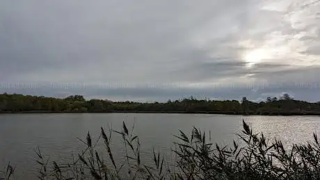 Parc des Bruyères