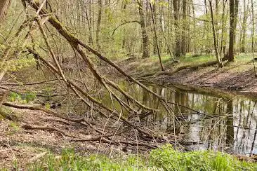 Woogsee Naturdenkmal