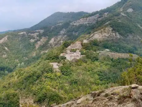 Photo de Campo