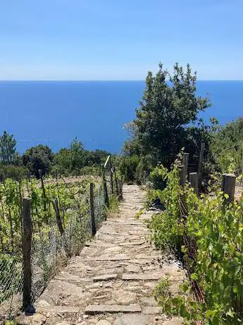 Monesteroli
