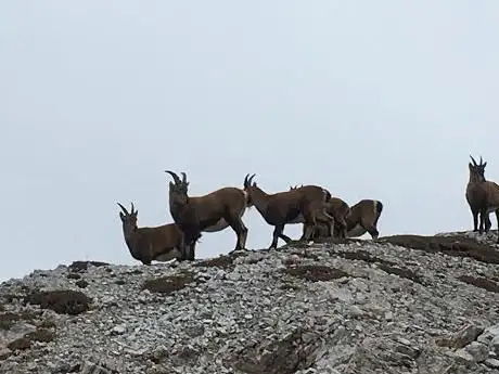Photo de Sas dla Para
