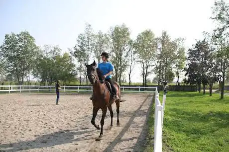 Photo de Centro Ippico Pegasos