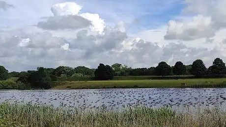 Bolton-on-Swale Nature Reserve
