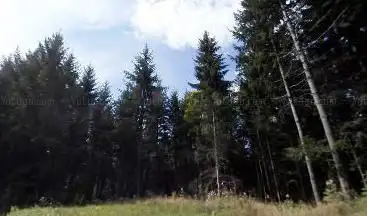 Barockschanze Schlechtbach