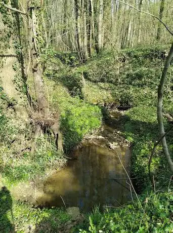 Tafelbos