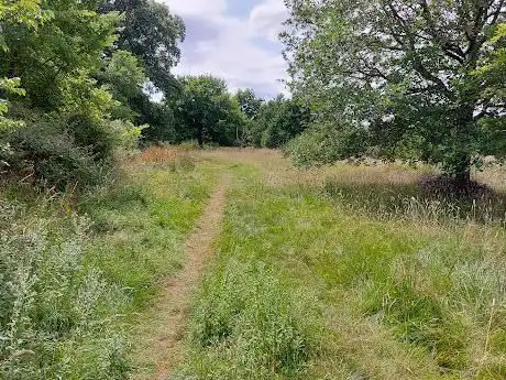 Photo de Alners Gorse Butterfly Reserve