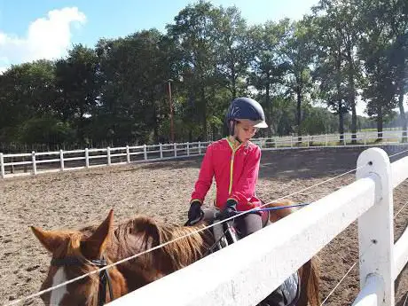 Pinto Ranch