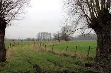 Sint-Onolfspolder