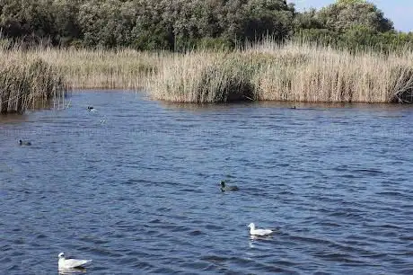 Photo de Lago Grande