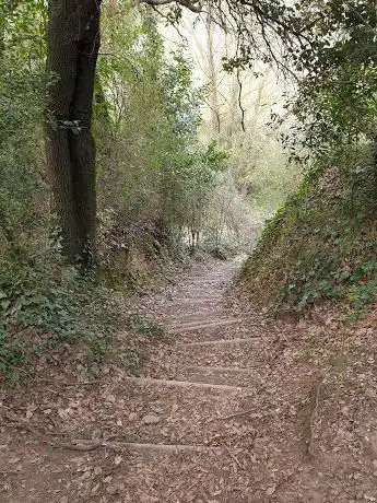 Photo de Font de la Teula
