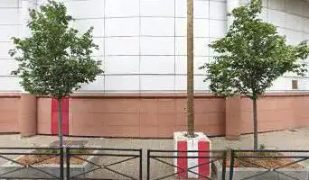 Conservatory De Bourg La Reine