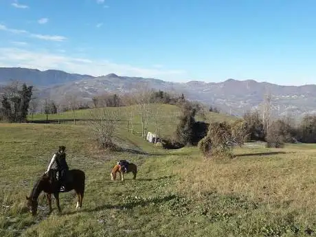 Equitrek dell'Appennino Asd