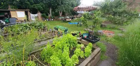 Photo de The Secret Garden (Grounded Community)