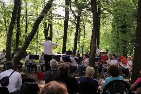 La Band nel Bosco - concerto