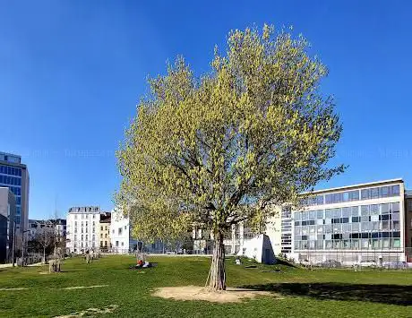 Parc Nino Anneessens
