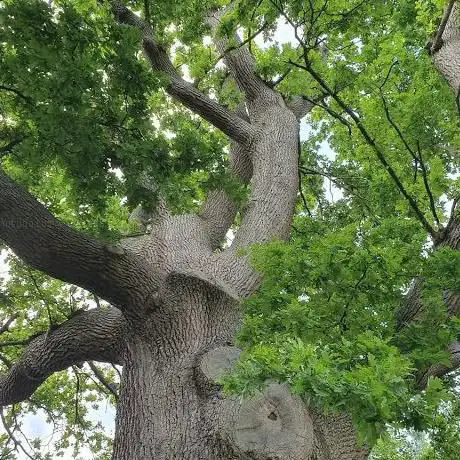 Photo de Winnals Park