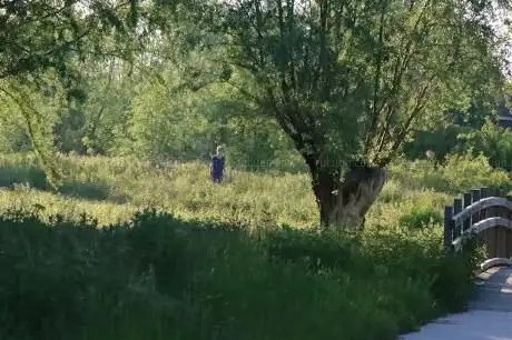 Vijfweegsepark