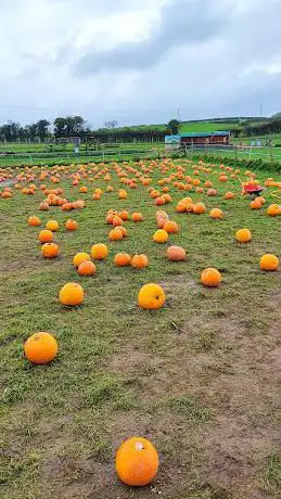 Photo de Streamvale Farm