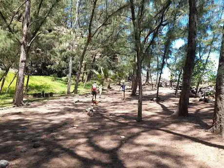Photo de Piton Babet Nature Trail